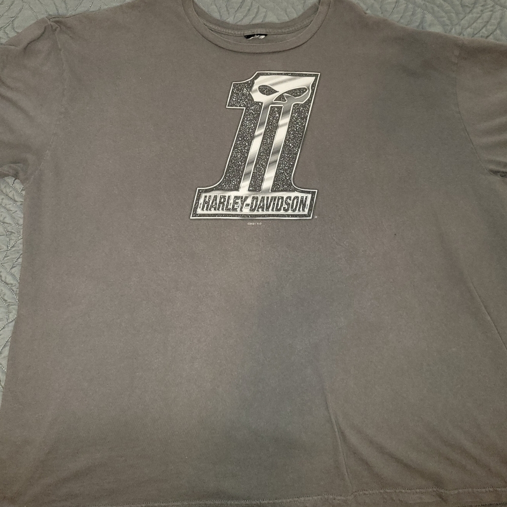 Harley-Davidson Men's Shirt